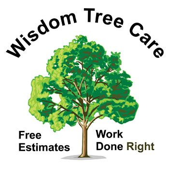 Wisdom Tree Care Logo